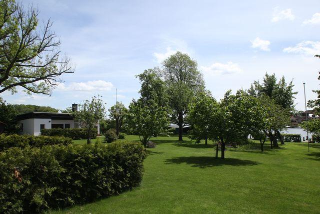 Blick in den Garten