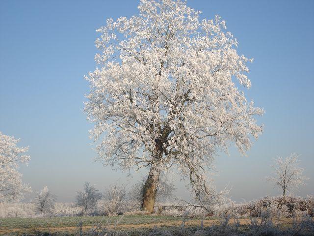 Der schöne Winter