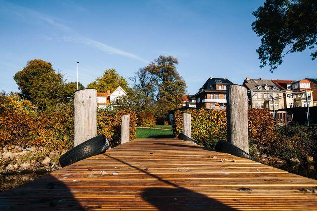 Blick vom Steg in den Garten