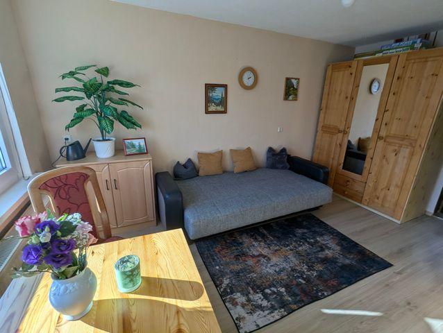 Kombinierter Wohn-/Schlafraum Grüne Hütte