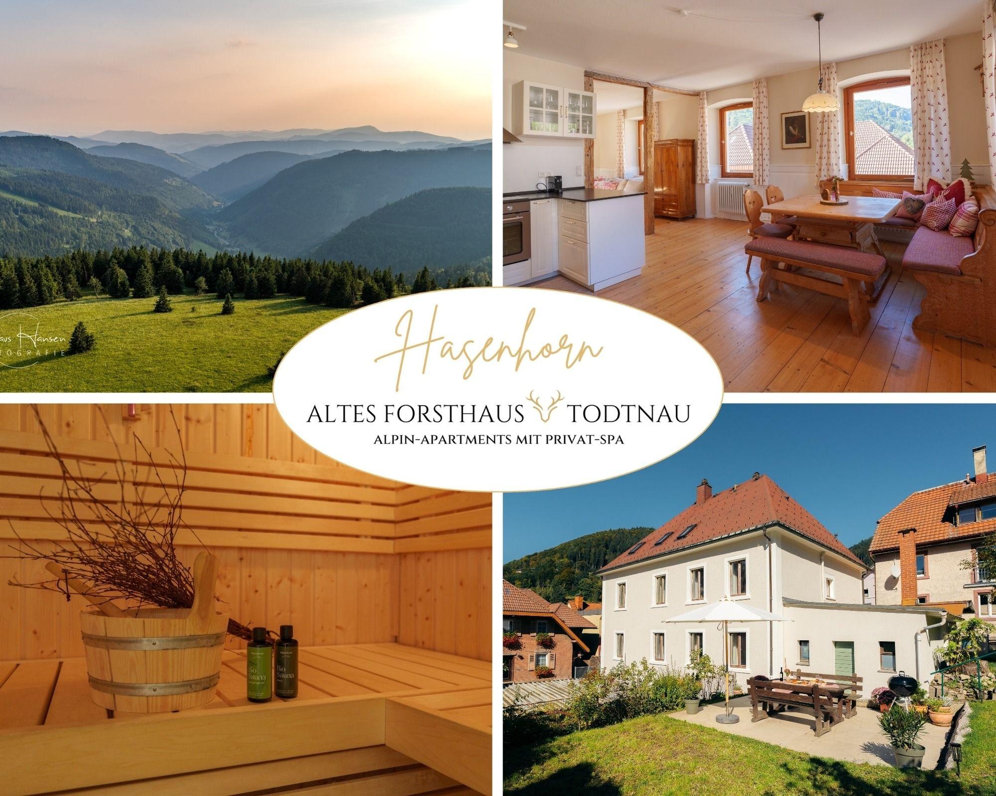 Altes Forsthaus - Fewo "Hasenhorn", mit privater Sauna, Todtnau- Feldberg