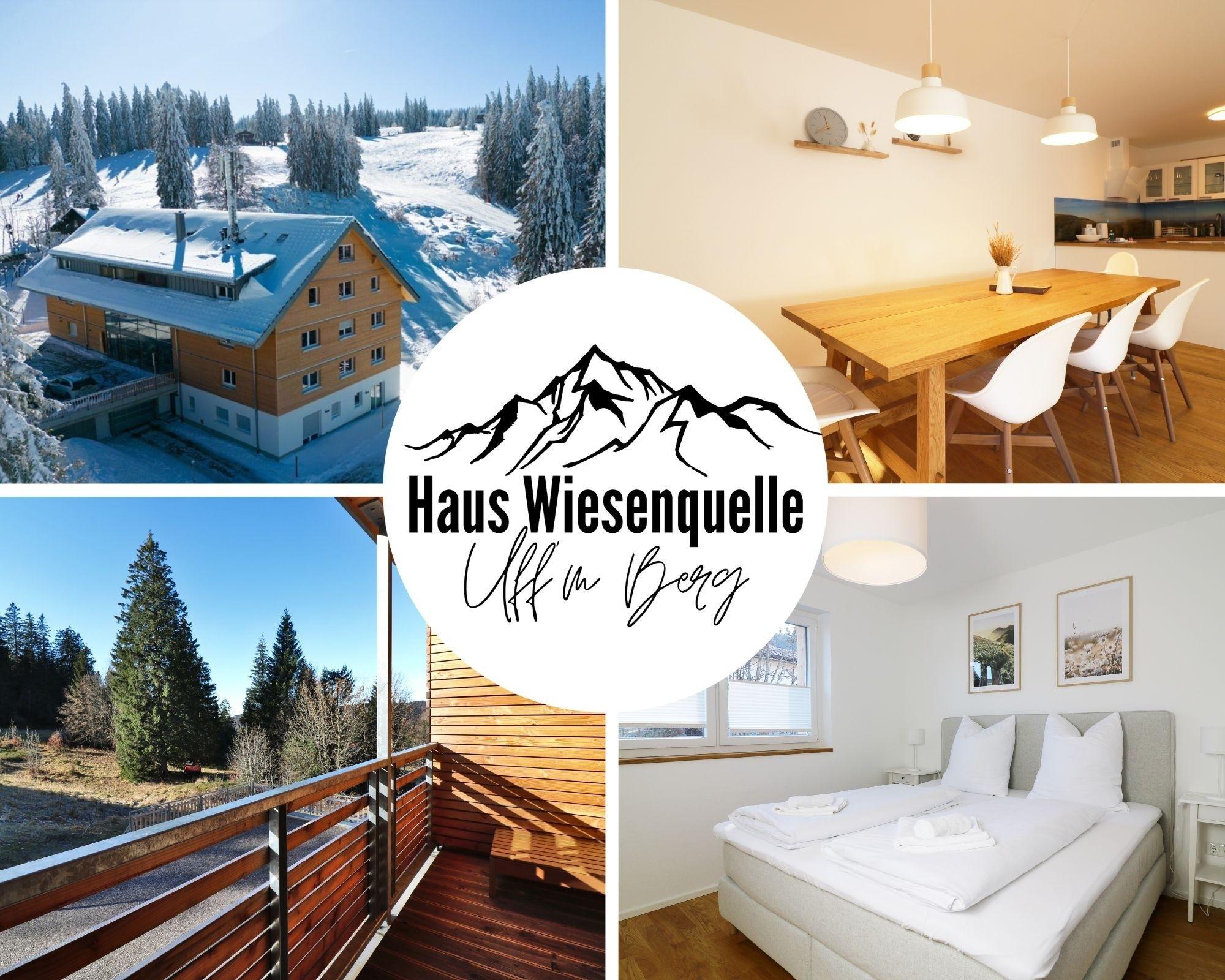 Haus Wiesenquelle - Fewo 10 "Uff'm Berg", Feldberg