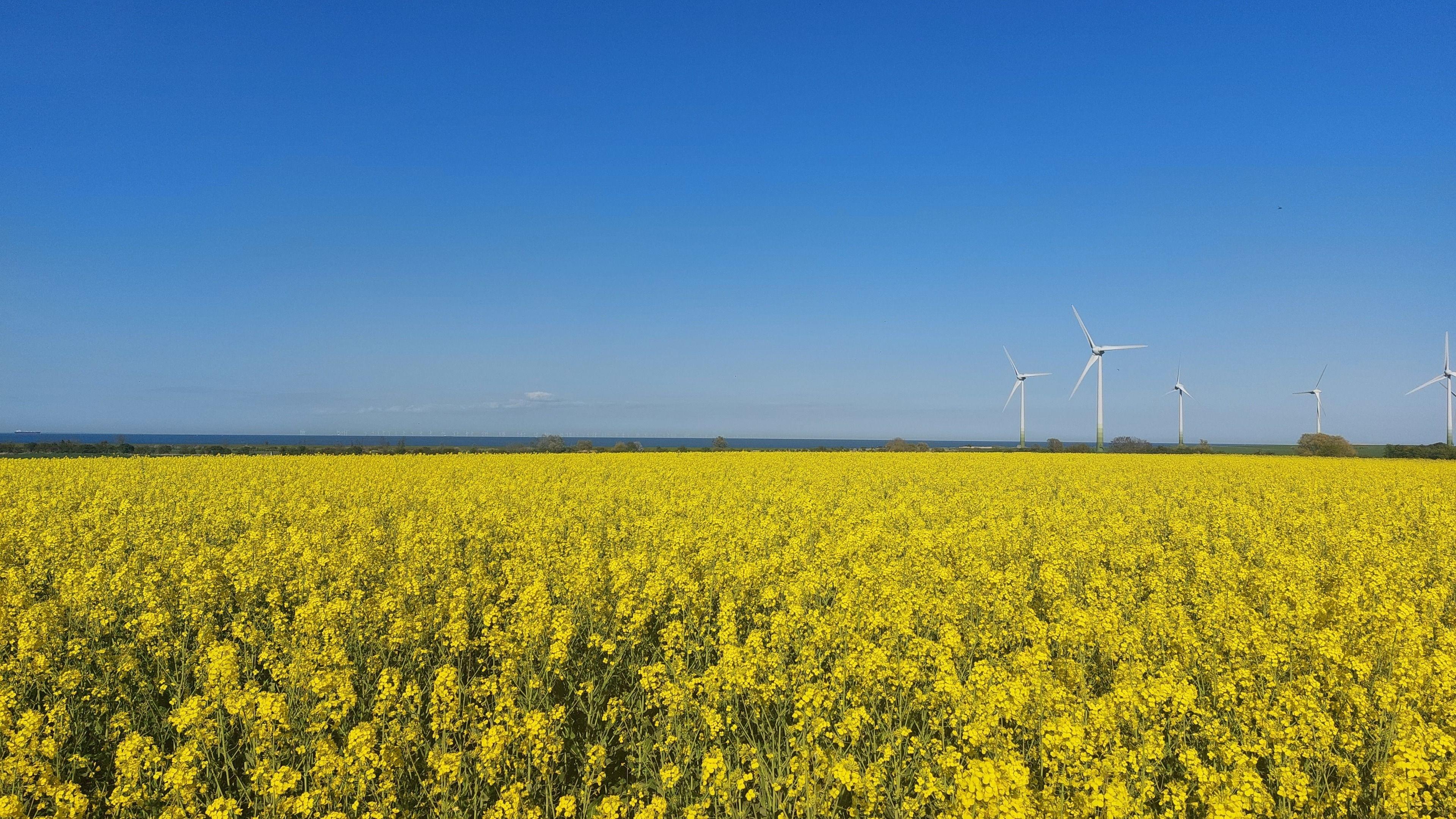 Ferienwohnung Meerweh auf Fehmarn