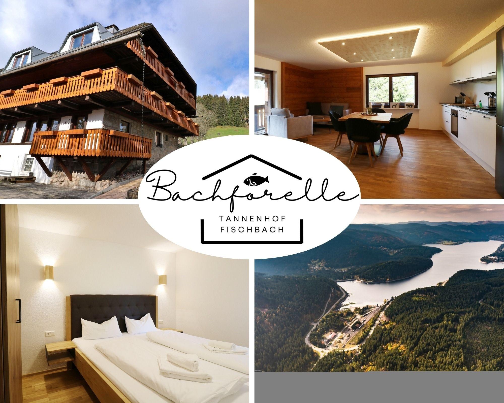 Tannenhof Fischbach - Fewo 3 "Bachforelle" - Schluchsee, 1 Schlafzimmer