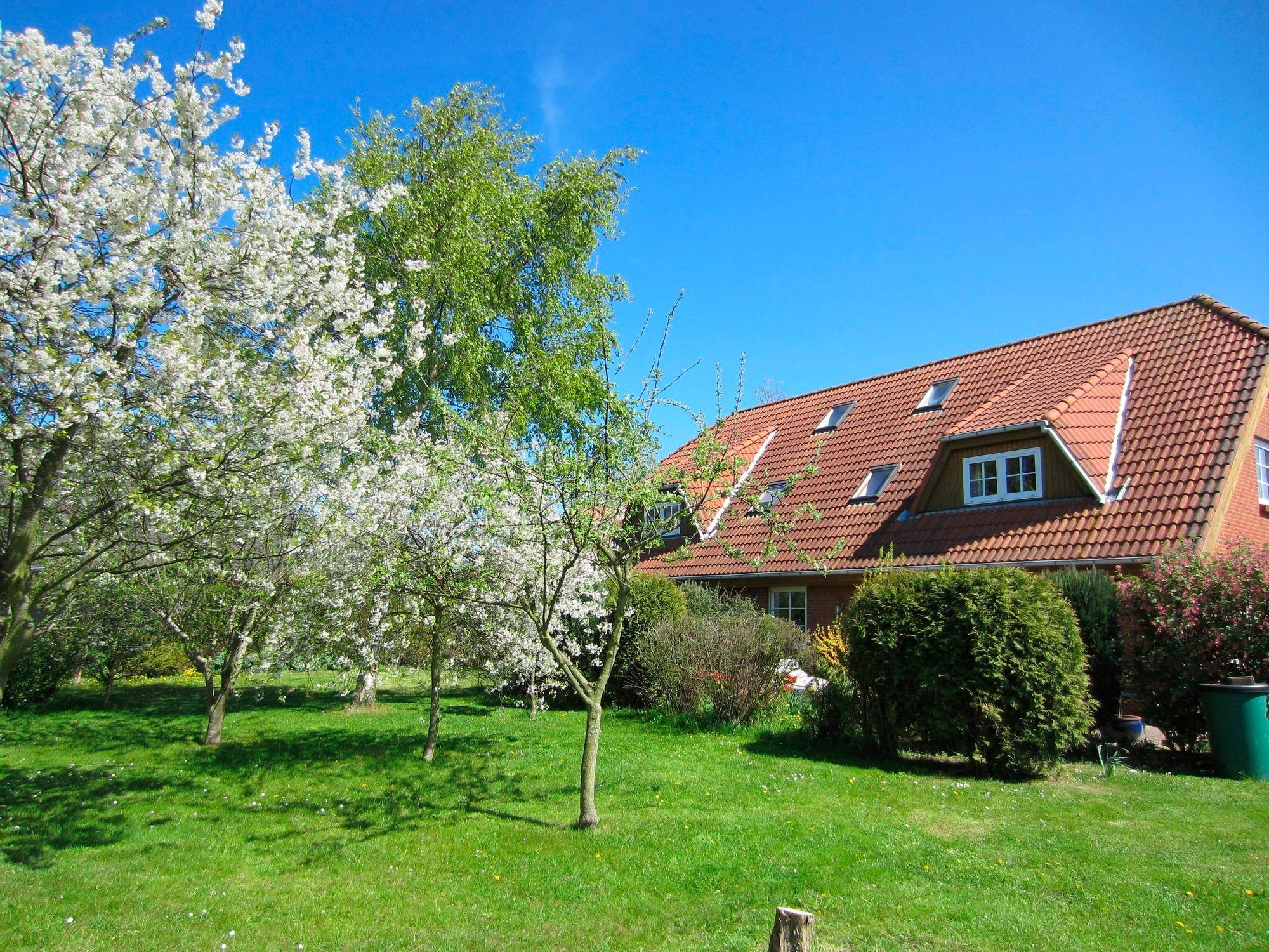 Ferienhof Böhnke Nr.4
