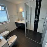 Bad EG mit Fenster, Raindancedusche, Bidet und großem Spiegel