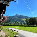 Ausblick