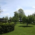 Blick in den Garten