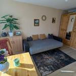 Kombinierter Wohn-/Schlafraum Grüne Hütte