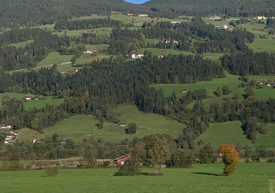 Image 15