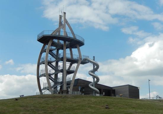 Image 15
