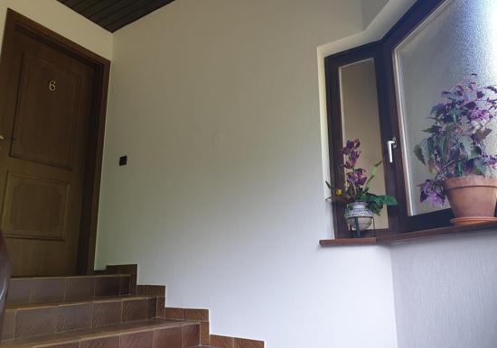 Image 39