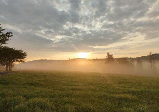 Image 16