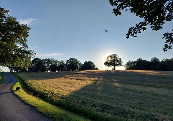 Image 14