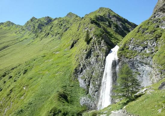 Image 35