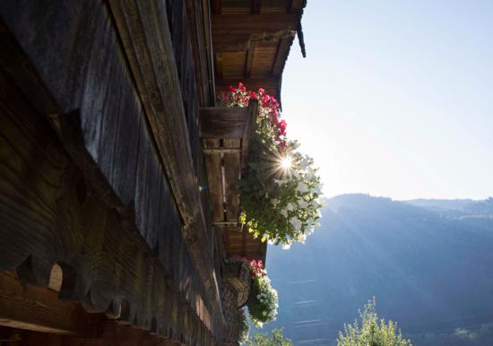 Image 25