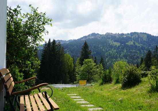 Image 15