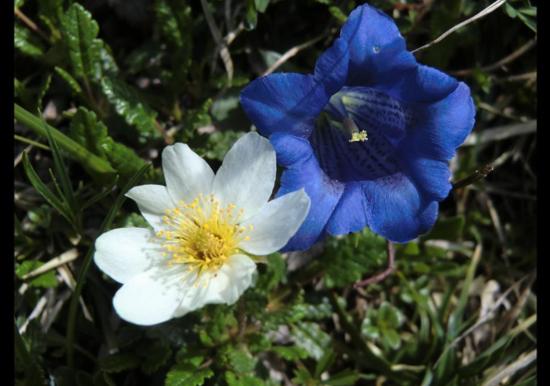 Image 32