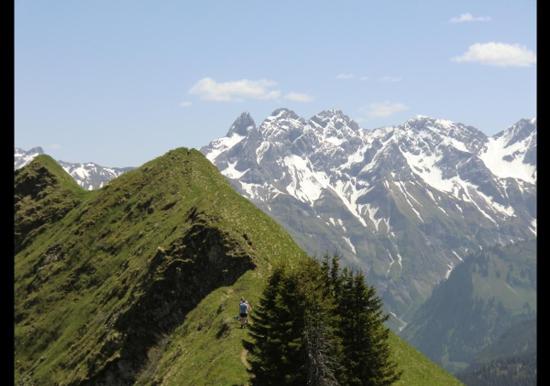 Image 33