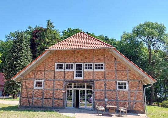 Image 6