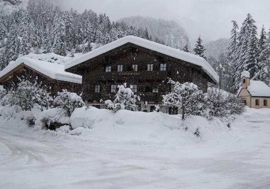 Image 4