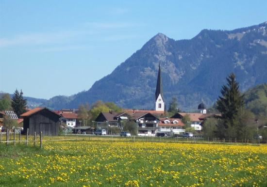 Image 22