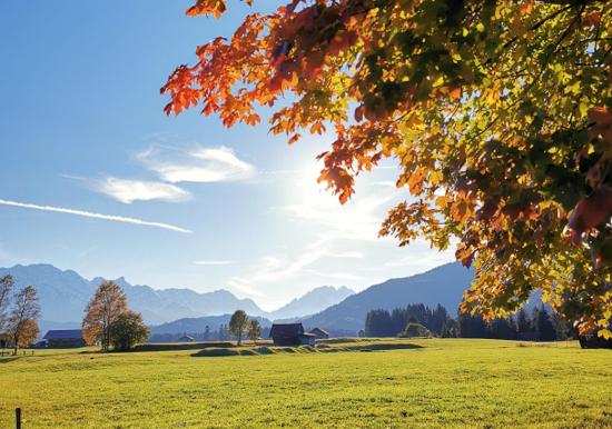 Image 61