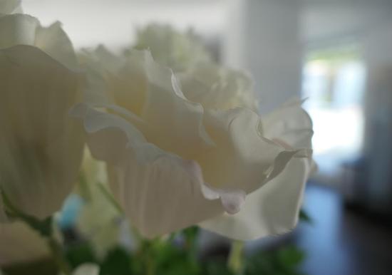 Image 14
