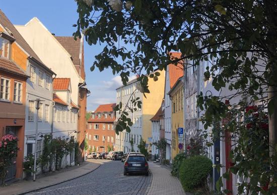 Image 12