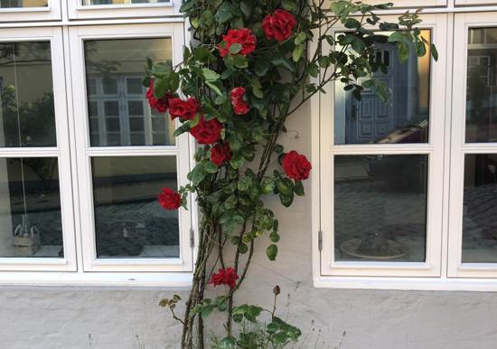 Image 14