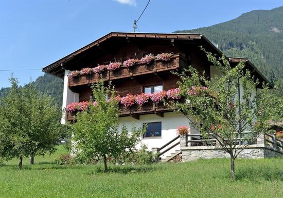 Image 10