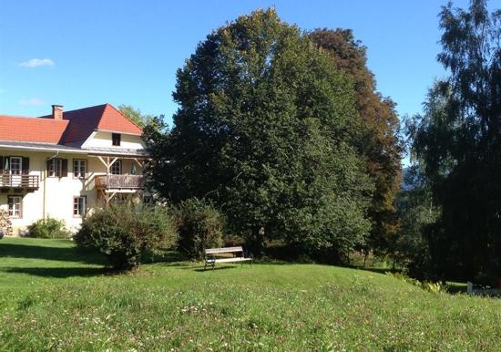 Image 12