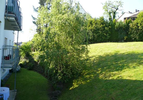 Image 68