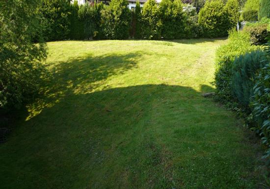 Image 69