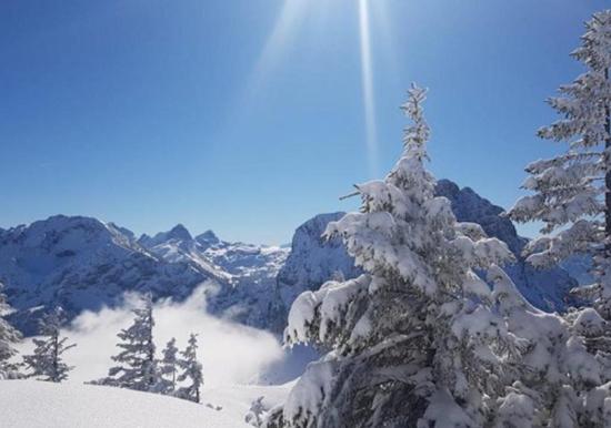 Image 23