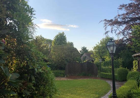 Image 19