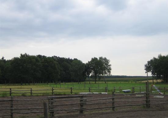 Image 18