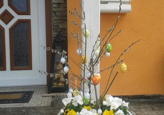 Image 53