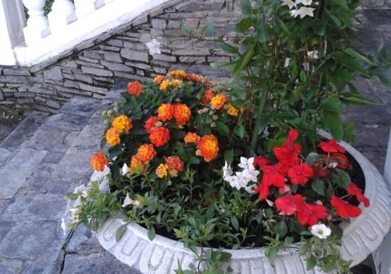 Image 60