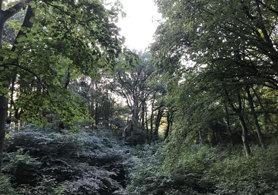 Image 10