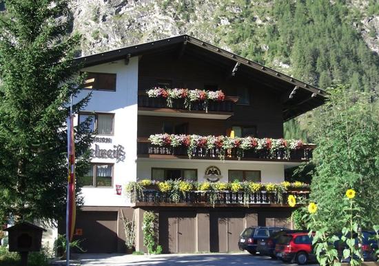 Image 3