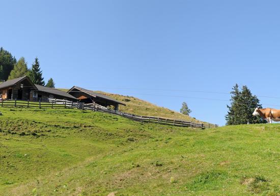 Image 35