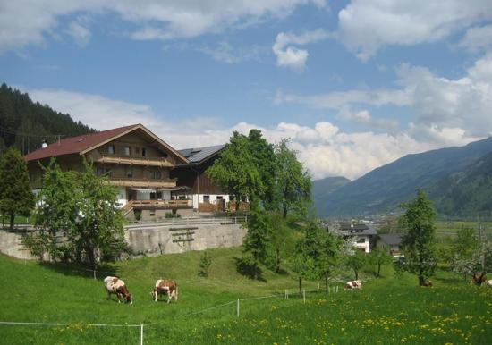 Image 25