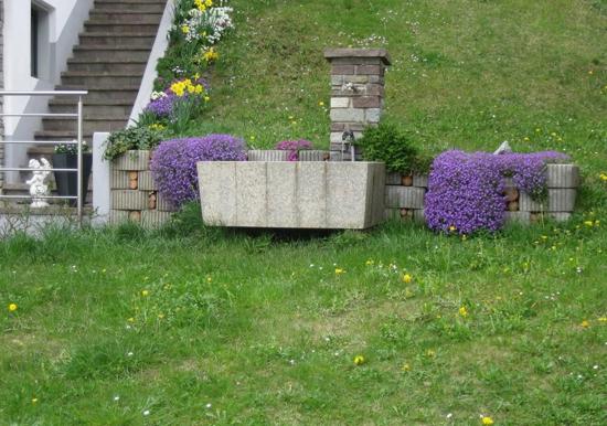 Image 16