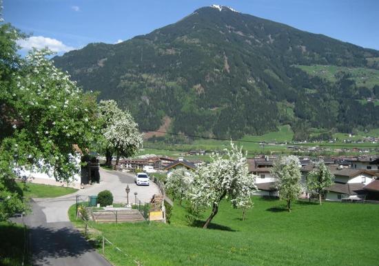 Image 26