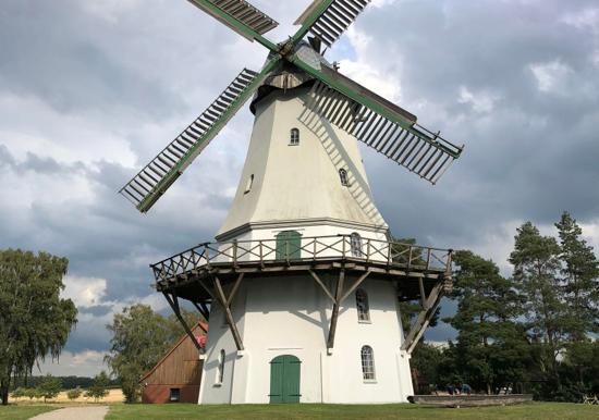 Image 28