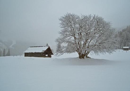 Image 47