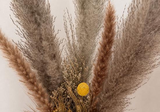 Image 27