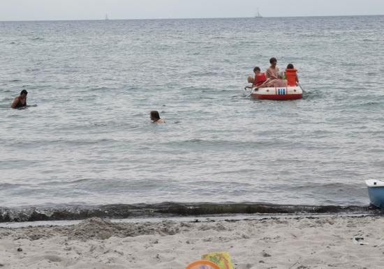 Image 15