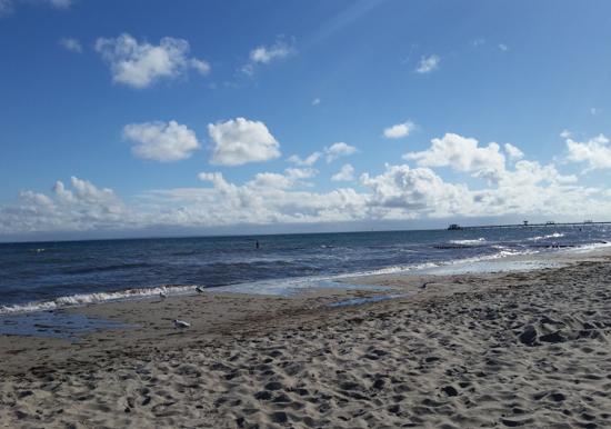 Image 15